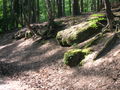 Der Buntsandstein reicht im Stadtwald bis an die Oberfläche.