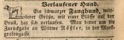 Wittwe Rößler, Fürther Tagblatt 23.05.1845.jpg
