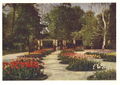 Gartenschau 1951, Der Rosengarten mit Pergola im Frühlingskleid. Historische Postkarte
