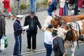 Erntedankfestzug, Okt 2017