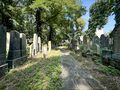 Alter Jüdischer Friedhof im September 2024